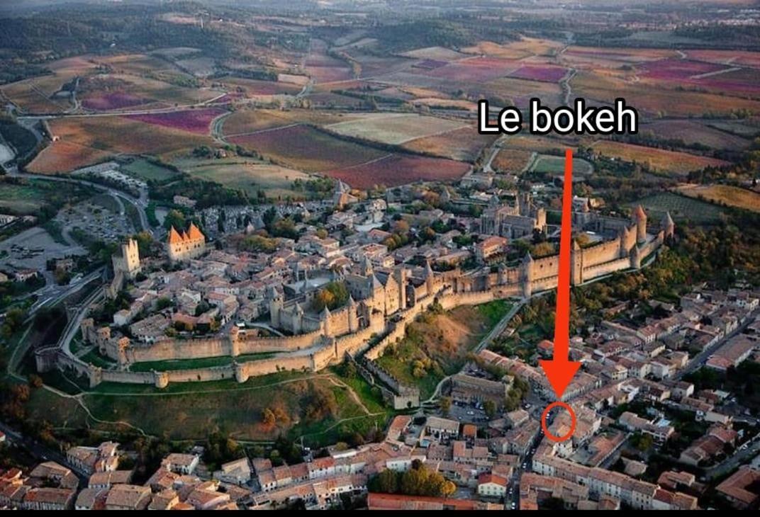 Le Bokeh - Face A La Cite Medievale Каркассонн Екстер'єр фото